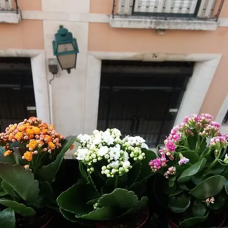 Apartment Principe Real Poetry Design Apart *